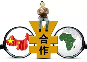 非洲缺什么？聽聽這些外貿人怎么說——聚焦貨物與技術進出口的實情與機遇