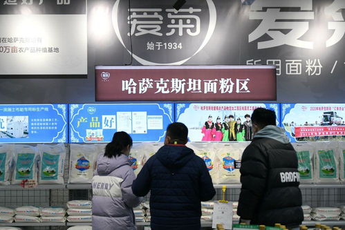 鏡觀·回響 中哈物流十年見證——西行東進，互聯互通下的貨物與技術進出口新篇章